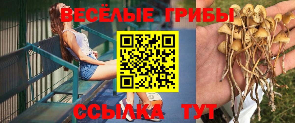 Балабаново  Галлюциногенные грибы ЛСД  Вход с VPN 
